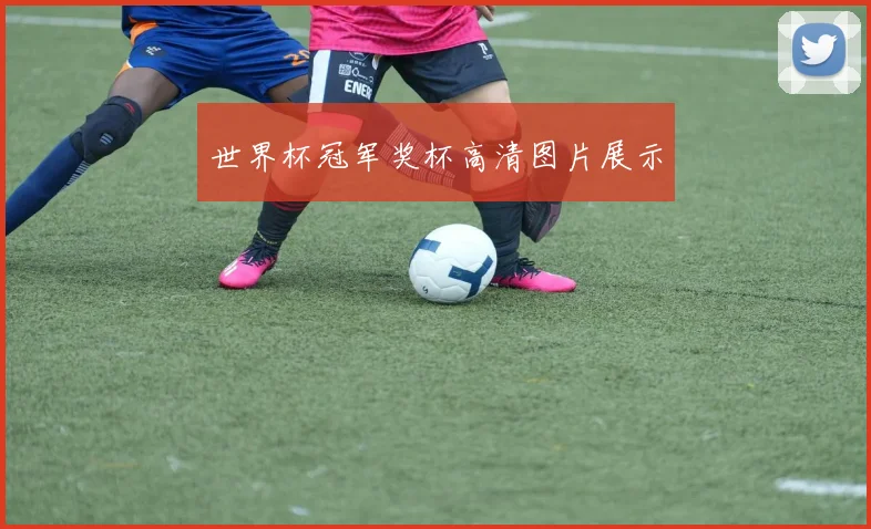 世界杯冠军奖杯高清图片展示