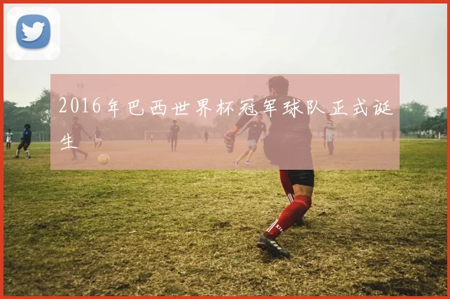 2016年巴西世界杯冠军球队正式诞生