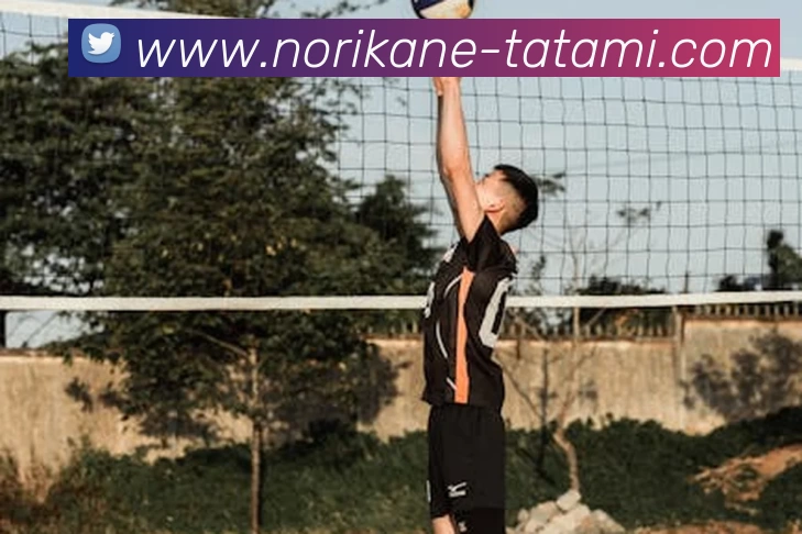 mksports官网登录品牌故事