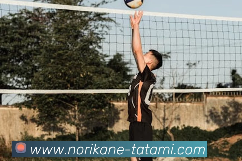 mksports官网登录服务体系