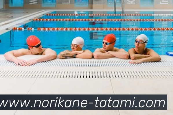 多媒体互动体验