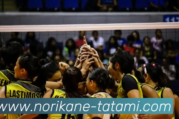 mksports官网登录APP 体育赛事宣传图